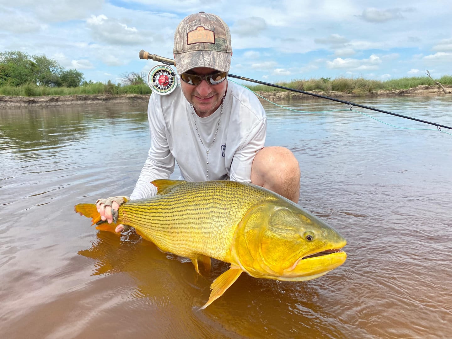 Golden dorado fishing angler kneeling by riverside grass holding a striped golden dorado near his fly reel