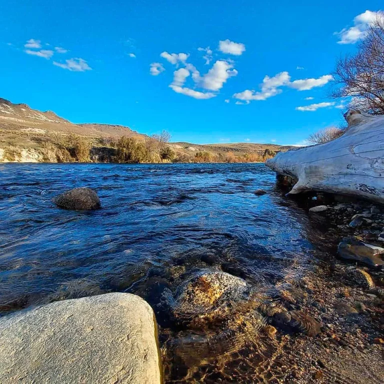 Landscape of the Chimehuin River famous for fly fishing in Argentina