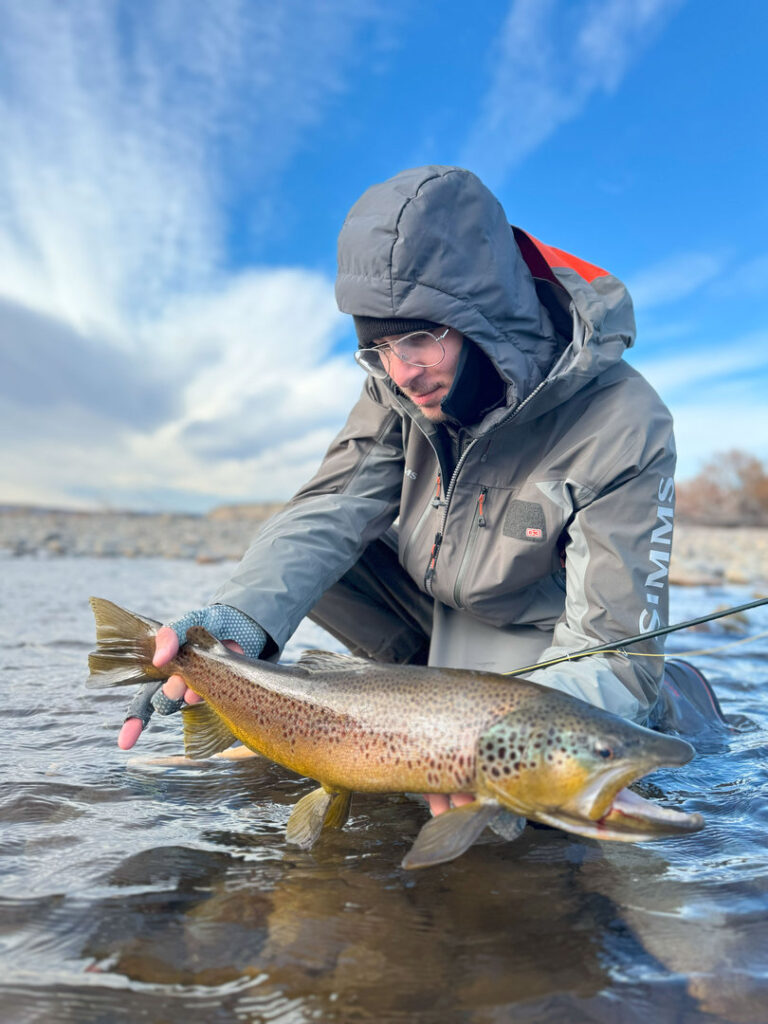 Angler releasing brown trout into clear river water in Patagonia