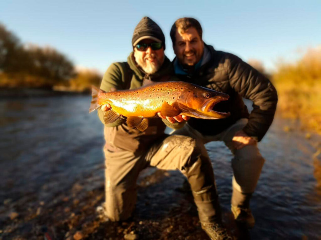 Fly fishing guide netting a trout in a clear Patagonia stream