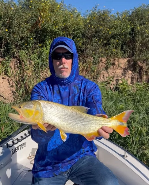 Donald Day client testimonial with golden dorado fly fishing catch