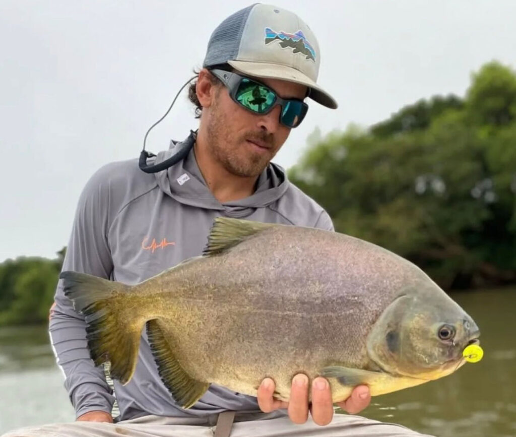 Angler holding Pacu catch fly fishing in northern Argentina wetlands