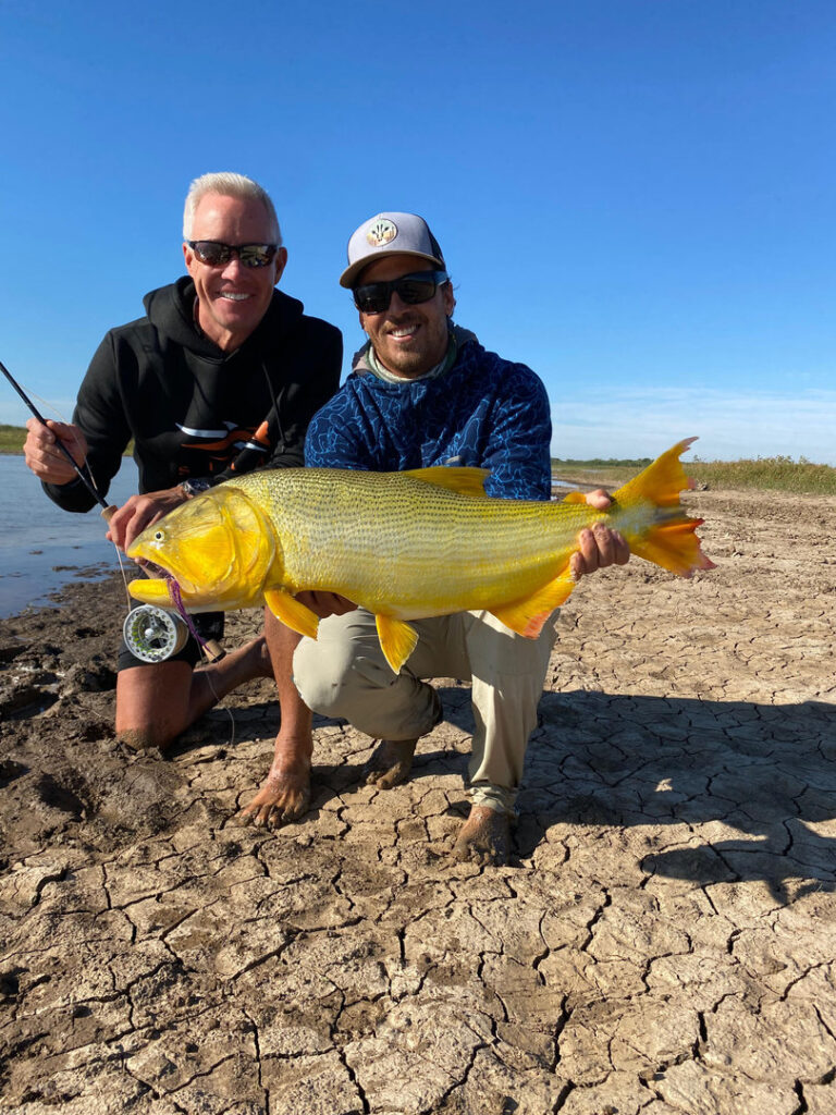 Close up of a golden dorado caught on a fly in Argentina