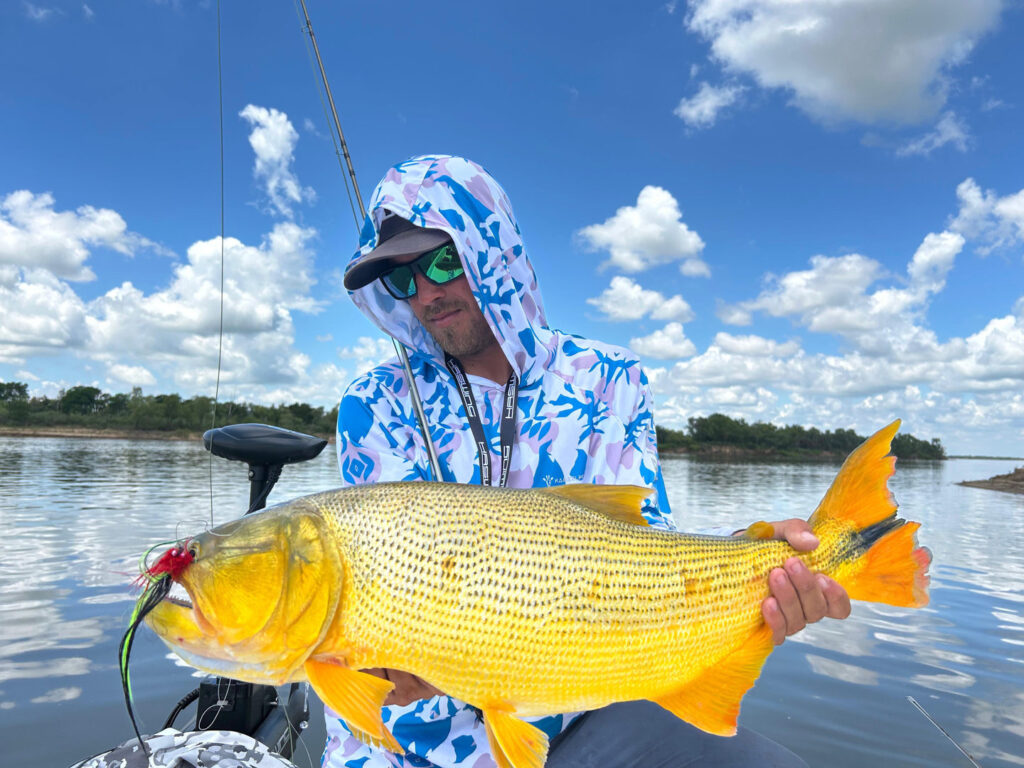 Angler fighting a strong golden dorado in the Parana River