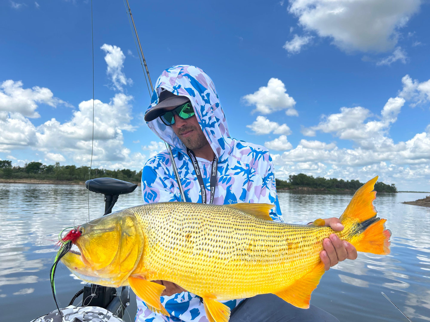 Angler fighting a strong golden dorado in the Parana River