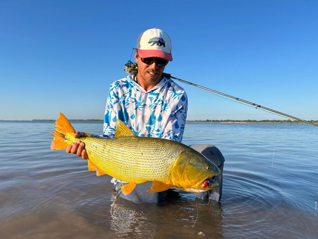 Successful day of golden dorado fly fishing in Corrientes