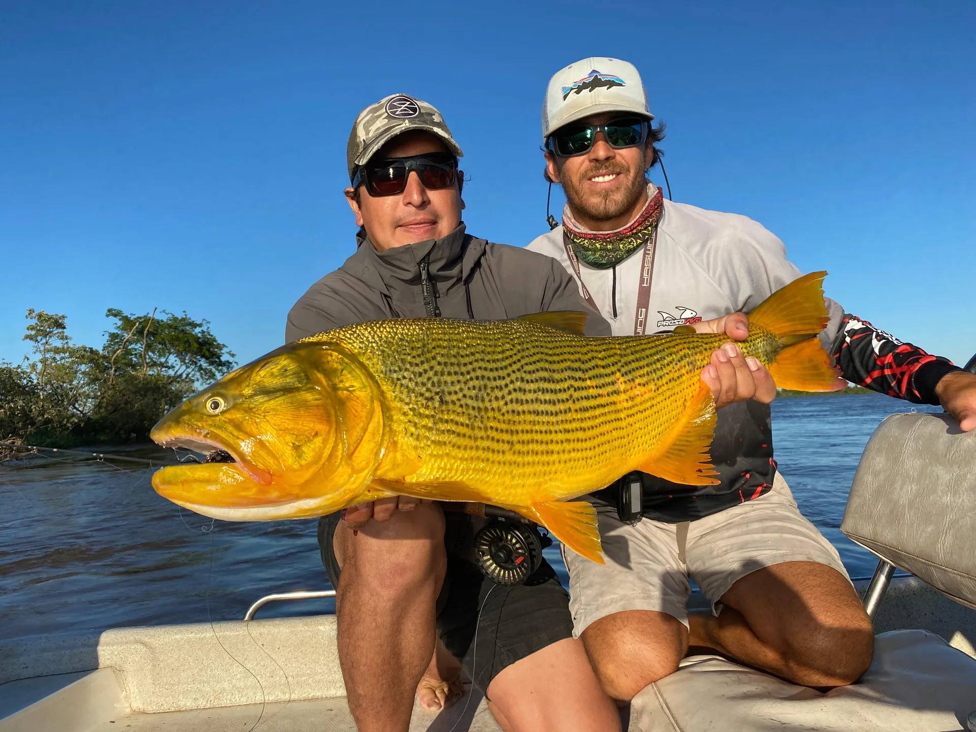Angler posing with a trophy golden dorado in Corrientes