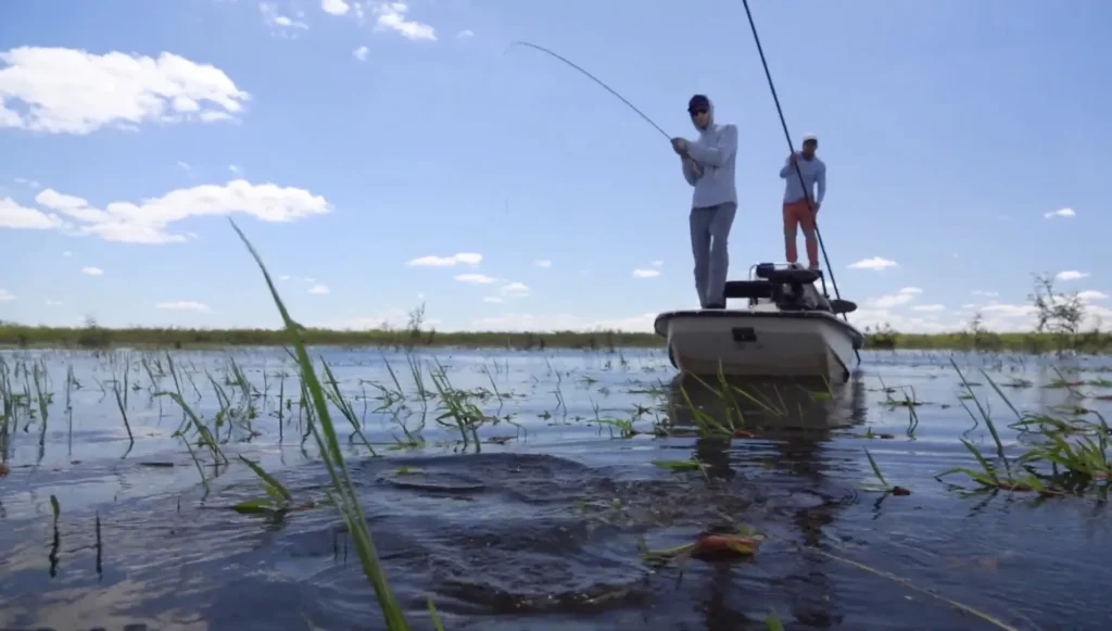Fly fishing adventure for golden dorado in Argentina's river delta
