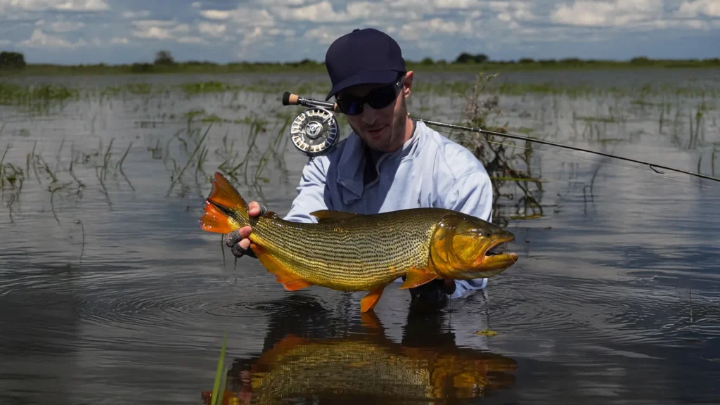 Guide poling boat for angler fly fishing in Argentina wetlands