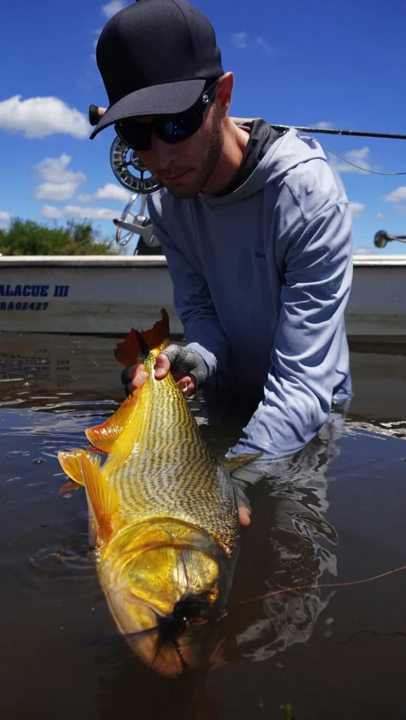 Happy angler holding golden dorado catch on boat in Argentina