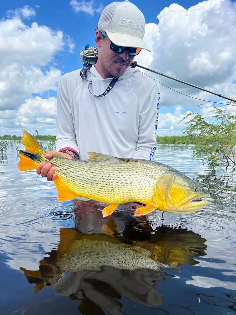 golden dorado fishing photo 11