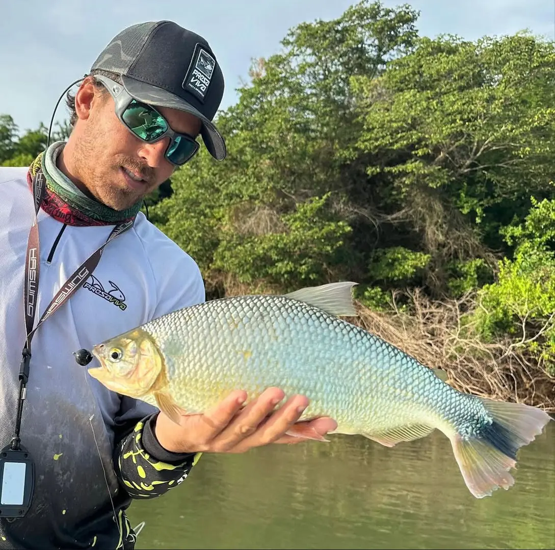 golden dorado fishing photo 13
