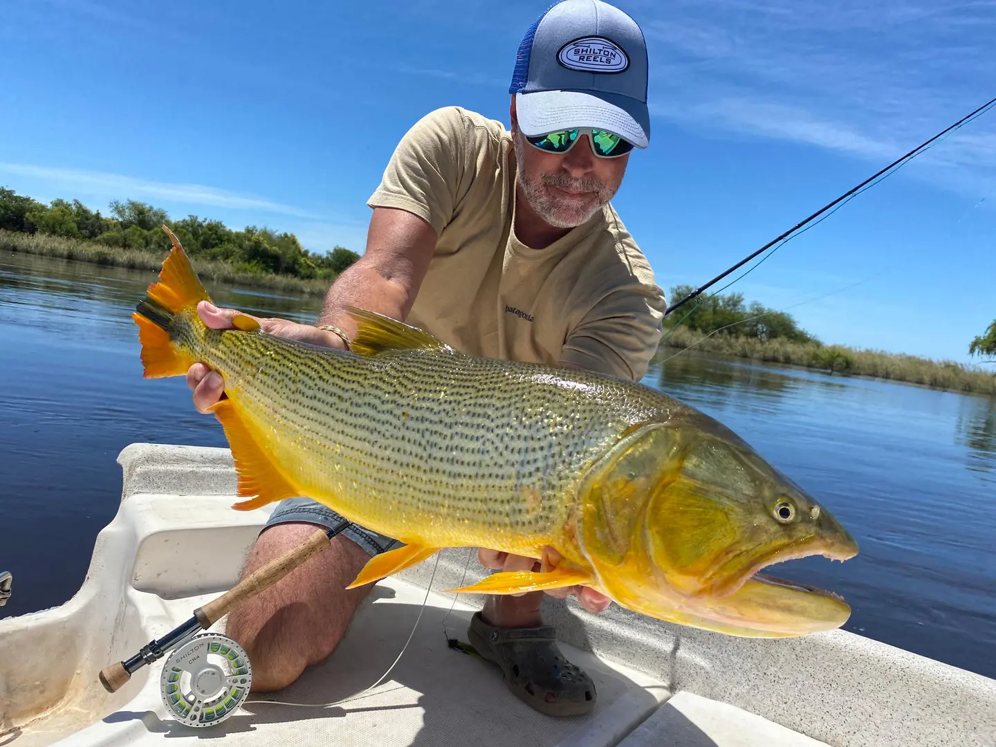 golden dorado fishing photo 3