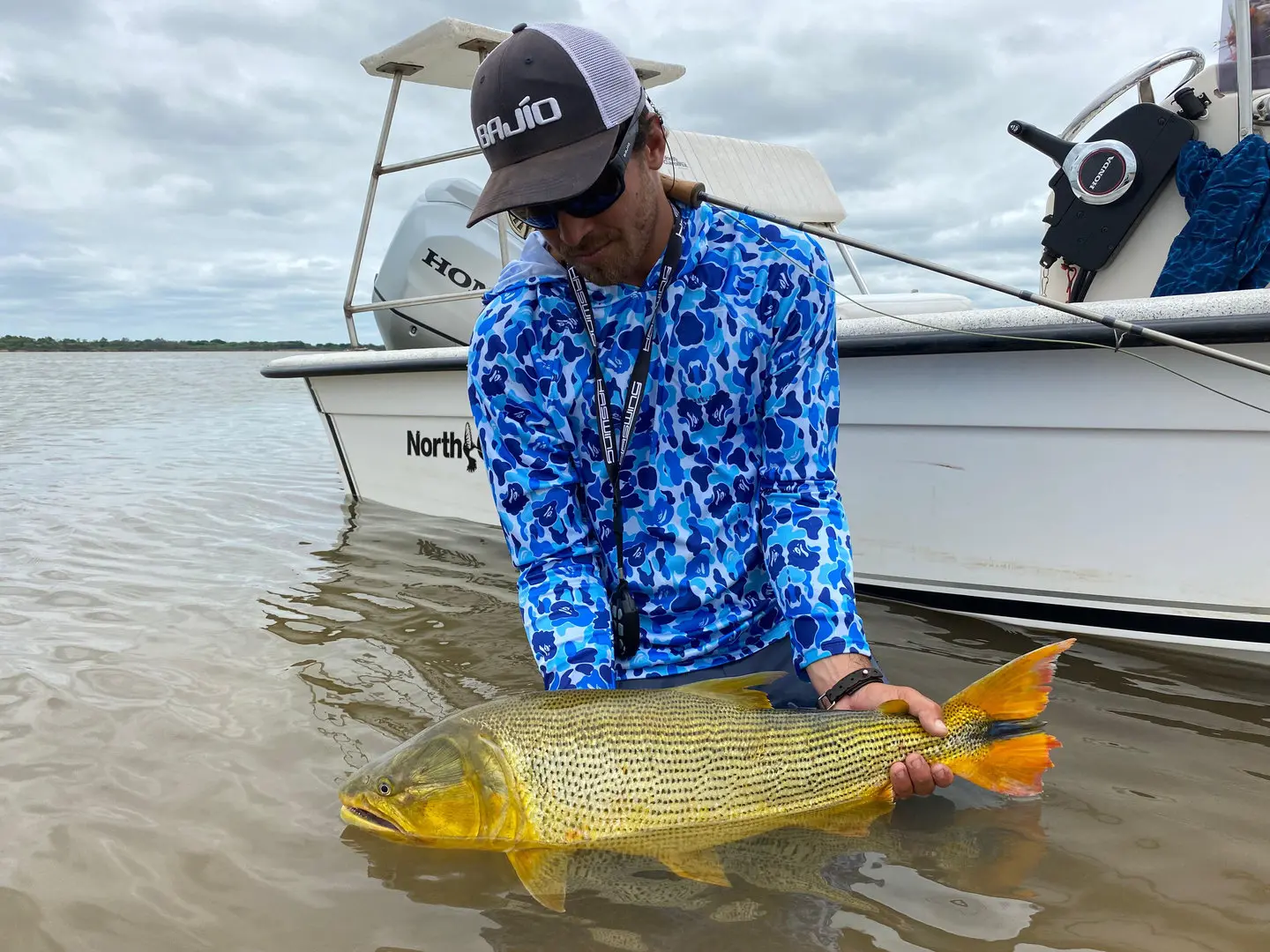 golden dorado fishing photo 5