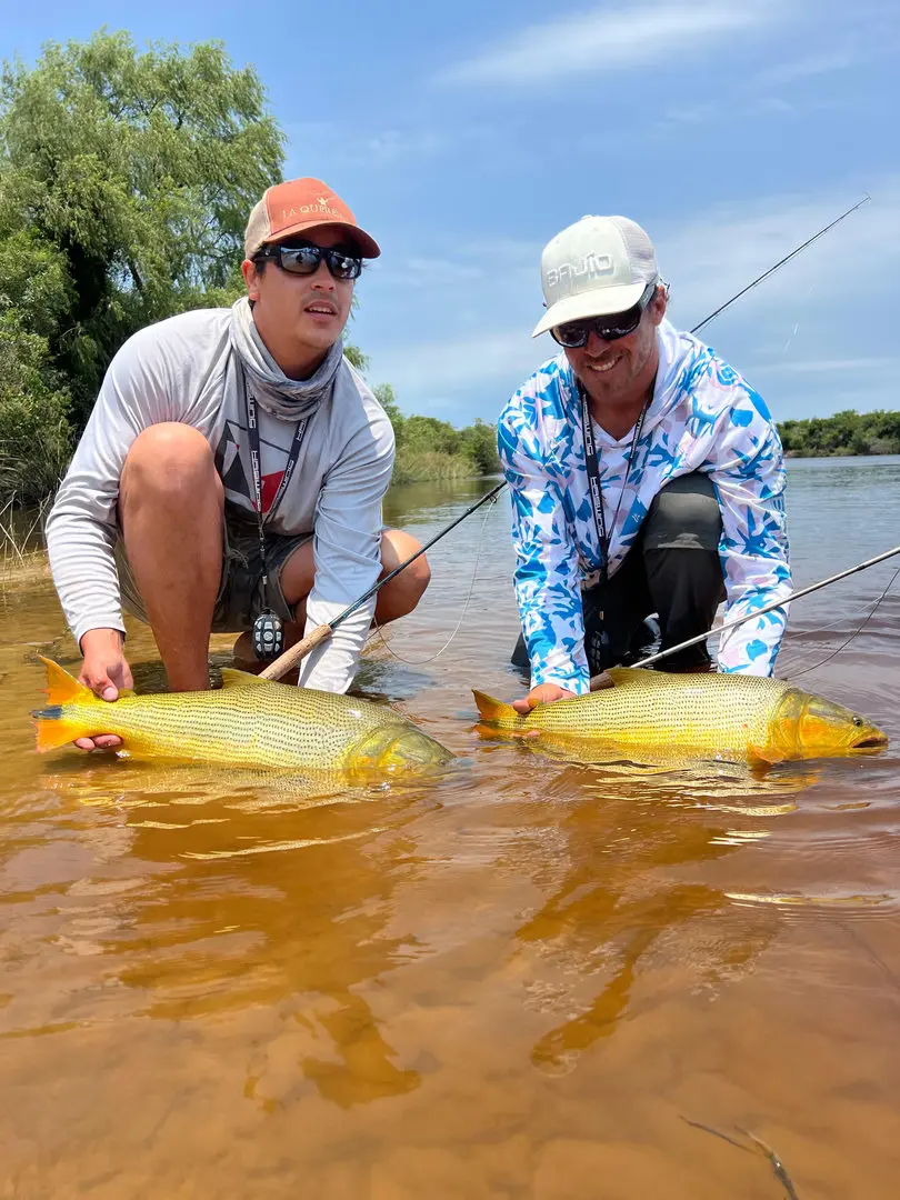 golden dorado fishing photo 7