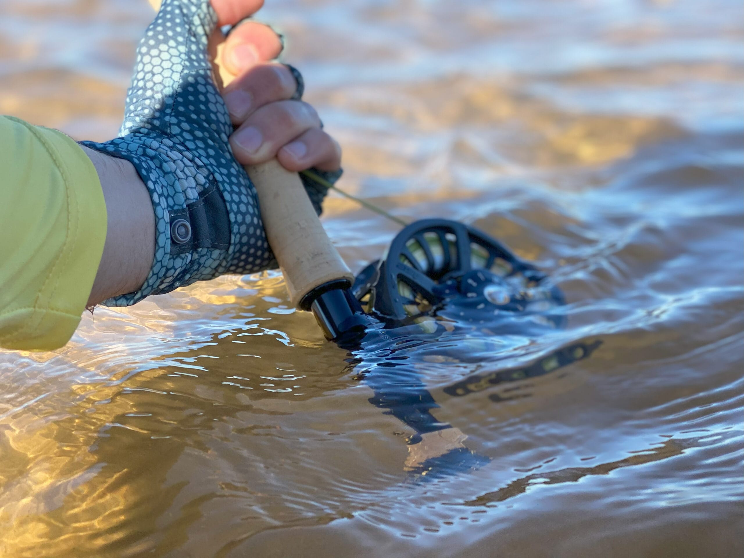 Close-up of an angler’s hand holding a fly-fishing rod in golden shallow water, evoking a luxury Golden Dorado fishing experience.