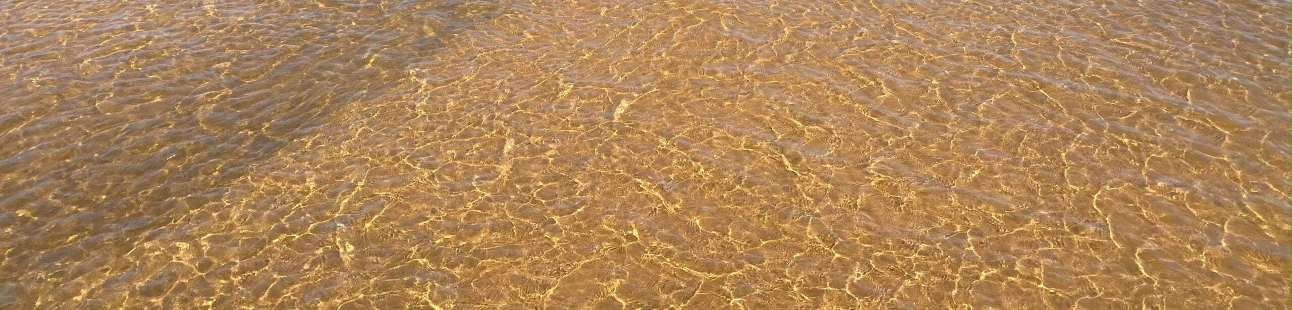 a clear water with ripples